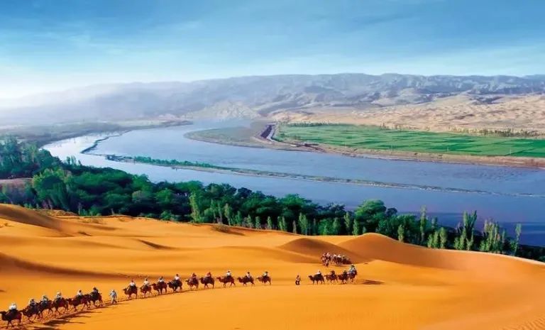 【展团推介】农牧文化交汇，独具特色美味，宁夏展团将亮相第十四届绿博会！