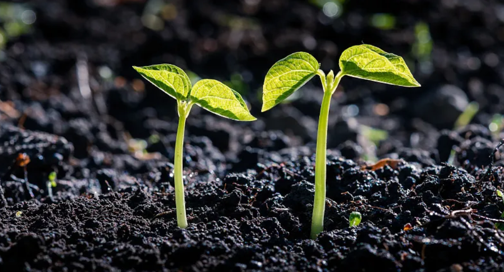 【媒体报道】绿色食品名声响流金淌银黑土地