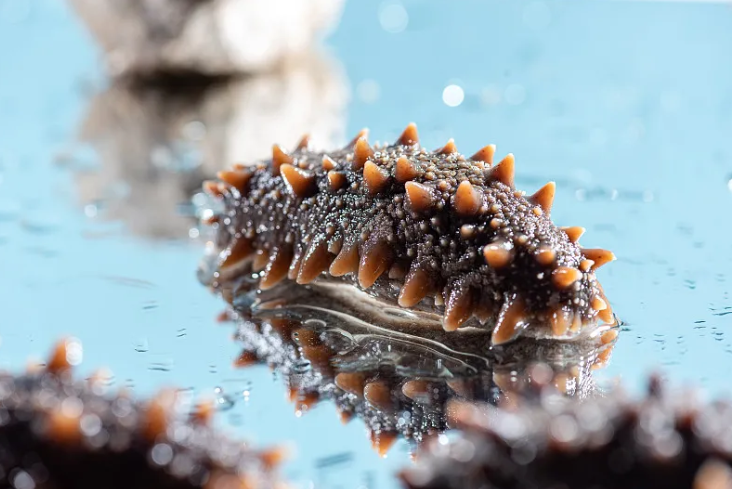 【媒体报道】青岛18个农产品入选“国家级”名录