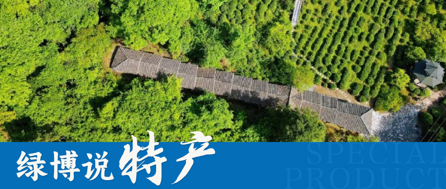 绿博说特产 | 品味历史，香韵悠长！江西名茶有哪些？